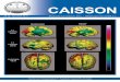 Caisson 02-13 Caisson 01-09gtuem.praesentiert-ihnen.de/caisson_02-13.pdf · 2018-02-10 · Das SPECT-Scan nach Endeder HBO-Therapie zeigt das Verschwinden der Perfu- ... SPECT-Perfusion