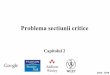 Problema sectiunii criticesoftware.ucv.ro/~cbadica/scd/cap2.pdf2018 - 2019 • Problema sectiunii critice se rezolva printr-un mecansim de sincronizare. Acesta include secvente de