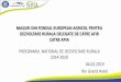 MASURI DE DEZVOLTARE RURALA DELEGATE DE CATRE AFIR … · 2019-02-05 · masuri din fondul european agricol pentru dezvoltare rurala delegate de catre afir catre apia programul national