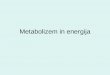 Metabolizem in energija · ATP- Adenozin trifosfat: posrednik energije v celicah ATP je nukleotid sestavljen: baze adenina, skadkorja riboze in treh fosfatnih skupin -energijsko bogata
