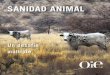 SANIDAD ANIMAL - World Organisation for Animal Health · PDF file animal están ligadas a las enfermedades animales. La población mundial habrá alcanzado cerca de 10.000 millones