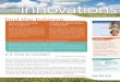 Innovations Fall 2010 · the company has localized assignees before but treated them inconsistently. • Unreasonable expectations exist between managers and expatriates, whereby,