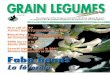 Grain Legumes No 48 - CSICEURO NEWS 5 GRAIN LEGUMES No. 48 – January 2007 T he Seventh Framework Programme for Research and Technological Development (FP7) is the EU's main instrument