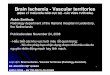 Brain Ischemia -Vascular territoriesbenhvientimmachangiang.vn/DesktopModules/NEWS/... · 6. ĐM tiểu não sau dưới (Posterior Inferior Cerebellar Artery) 7. ĐM tiểu não trên