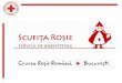Prezentare servicii Scufita Rosie pentru companiiscufitarosie.org/cms/wp-content/...Scufita-Rosie... · Sumar ofertă 1. Nevoia companiei: să ofere work –life balance, să creeze