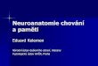 Neuroanatomie chování a paměti - CASmemory.biomed.cas.cz/332/ · 2017-03-23 · Neuroanatomie chování a paměti Neuronová doktrína Gnostická pole Různé paměťové systémy