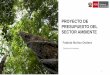 PROYECTO DE PRESUPUESTO DEL SECTOR AMBIENTE · Huancavelica, Lima provincias, San Martín y Ucayali. 24 campañas de Perú Limpio - 2,400 promotores ambientales - 551,926 personas