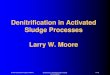 Denitrification in Activated Sludge Processes Larry W. Moore ... carbon oxidation / nitrification
