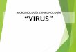 MICROBIOLOGÍA E INMUNOLOGÍA “VIRUS”Virus Agentes Patógenos Conceptos previos Hongos . Agentes Patógenos Contacto Directo: ... Algunos virus también están rodeados por una
