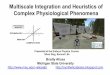 Multiscale Integration and Heuristics of Complex ...aliceabr/MIH-presentation.pdf · Multiscale Integration and Heuristics of Complex Physiological Phenomena Bradly Alicea ... Transcription,