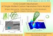 CVD Growth Mechanism of Single-Walled Carbon Nanotubes ...nanotube.msu.edu/nt06/presentations/NT06-Maruyama.pdf · CVD Growth Mechanism of Single-Walled Carbon Nanotubes from Alcohol