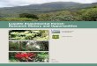 Luquillo Experimental Forest: Research History and Opportunities · 2013-03-28 · 4 Luquillo Experimental Forest: Research History and Opportunities The Luquillo Mountains rise from