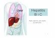 Hepatitis B i C - · PDF file sistemskom testiranju krvi i krvnih derivata, te tkiva i organa za transplantaciju, kao i nadzor kvalitete sterilizacije medicinskih instrumenata. •