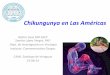 Chikungunya en Las Américasmedicinainternapanama.com/downloads/cami-2014-sabado/...- Género Rubivirus (Virus Rubeola) - Género Alfavirus (29 especies): Chikungunya Virión esférico