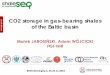 CO2 storage in gas-bearing shales of the ... · Polish Geological Institute National Research Institute CO2 storage in gas-bearing shales . of the Baltic basin. Marek JAROSIŃSKI,