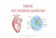 Hjärtat och metabola sjukdomarsbkf.barnlakarforeningen.se/wp-content/uploads/sites/17...Heterogen symtombild Pussel av symtom, biokemiska markörer a) Intoxikationsbild b) Störd