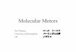 Molecular Motors · 2018-12-10 · Thermodynamic Cycle We apply Thermodynamics to molecular motors. Car Engine (Otto Cycle) Steam Engine (Rankine Cycle) Actomyosin also works in a