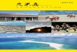 久米島 - Kumejima · 오오지마에있는 바다거북관은 대형수조,미니극 장과 바다거북을 직접 만져 볼수있는 체험은 어른 부터 아이까지 체험할