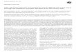 TNP-470 suppresses the tumorigenicity of HT1080 fibrosarcoma …downloads.hindawi.com/journals/sarcoma/2001/367219.pdf · 2019-08-01 · pulmonary metastasis in animal osteosarcoma15,16