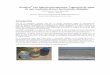 Neodren con tubería microporosa: Captación de agua de mar …cidta.usal.es/cursos/tuberias/PDFs/Unidad 4/U4C3/T09.19.pdf · 2009-11-01 · Con los resultados obtenidos, y una vez