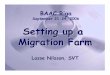 September 21-24, 2006 Setting up a Migration Farm · Lasse Nilsson, SVT: Setting up a Migration Farm BAAC Riga September 21-24, 2006 Digital Beta 40000 4750 44750 Betacam SP 30000