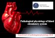 Pathological physiology of blood circulatory system. Cardio-vascular system-lecture.pdfEdema Cardial cirrhosis of liver Polycythemic hypervolemy Nicturia Hemodynamic indices of blood