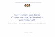 Curriculum modular Componenta de instruire profesională · 2017-04-11 · CURRICULUM MODULAR. COMPONENTA DE INSTRUIRE PROfESIONALă PRelImINaRII Contextul social şi economic. Prin
