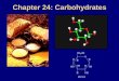 Chapter 24: Carbohydrates - uniurb.itThe simplest carbohydrates are the sugars or saccharides. They constitute polyhydroxy-aldehydes (aldoses) or -ketones (ketoses); they form oligomers