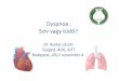 Dyspnoe: Szív vagy tüdő? · Mid-Region Pro-Hormone Markers for Diagnosis and Prognosis in AcuteDyspnea: Results From the BACH (Biomarkers in Ac ute Heart Failure)Trial Maisel A,