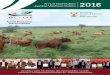 Jaarlikse Vleisbees Bulletin Annual Beef Bulletin 2016 Library/ARC Annual Beef Bulletin - 2016.pdf · p. 50 Artificial insemination vs natural breeding in cattle: Exploring breeding