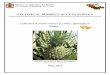 Cultivation of Ananas comosus (L.) Merr., (pineapple) in Jamaica · 2019-03-12 · Criconemoides sp. Ring nematode 1No Fruits, pod, root Not a quarantine pest Williams 2000 Ditylenchus