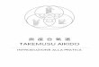 TAKEMUSU AIKIDO · 2019-06-18 · 武. 産. 合 氣 道 takemusu aikido . introduzione alla pratica