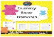 Gummy Bear Osmosis Lab - Marlboro Central High School · 2016-10-23 · Gummy Bear Osmosis Lab ★ Purpose: To observe the effects of _____ on a gummy bear. ★ Hypothesis: (Circle