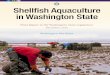Shellfish Aquaculture in Washington State...evaluating how marine systems, including aquaculture, respond to environmental change; and (3) informing monitoring and research priorities