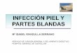 infeccion piel partes blandas - Sociedad Valenciana de ...sociedadvalencianadecirugia.com/wp-content/uploads/2017/03/infeccion_piel_partes_bland...servicio de cirugÍa general y del