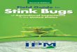 Field Guide Stink Bugs · Thomas Kuhar Thomas Kuhar. 13 Economically Important Species Painted bug (bagrada bug), Bagrada hilaris (Burmeister) A D U L T S I Z E Eggs: White when deposited,
