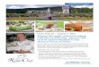 From July 30 – August 7, 2015 Witness the magic of …...Culinary Excursion From July 30 – August 7, 2015 Witness the magic of Royal Scotland with Darren McGrady - former Chef