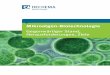 Mikroalgen-Biotechnologie ... 4 zusammenfassung ¢» Prozesse der Biomasse-Aufarbeitung m£¼ssen entwi-ckelt
