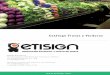 Catálogo Frutas y Verduras - Etisign · 2017-05-16 · tisign nnovación en Retail Punto de Venta infoetisign.com 01 800 800 4433 3 Frutas y Verduras Ofrecemos soluciones para prácticamente