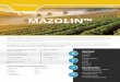 MAZOLIN™...and is highly effective on four major fungal groups: Ascomycota, Deuteromycota, Basidimycota and Oomycota. Mazolin can be applied as a foliar spray in alternating spray