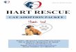 HART Cat Adoption Packet - storage.googleapis.com...HART CAT ADOPTION PACKET 2 From HART Team, Congratulations on your approval of adopting a rescue cat! In this packet, we have compiled