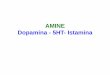 AMINE Dopamina - 5HT- Istamina · SEROTONINA (5HT, 5-IDROSSITRIPTAMINA) immagazzinata ed escreta dalle cellule enterocromaffini e dalle piastrine neurotrasmettitore nel SNC . DISTRIBUZIONE