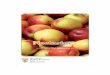 Production guideline — and... · 2016-08-25 · Peach/nectarine trees can grow in a variety of soil types but prefer deep, well-drained soils, ranging from sandy loam to sandy clay