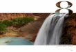 Havasu Falls, Grand Canyon National Park, Arizona ...Havasu Falls, Grand Canyon National Park, Arizona pediatric esrd 295. 2012 USRDS annual Data RepoRt volumeESRD 296 201USRDUa 0tD1