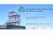 Sustainable Fuels and Chemicals by Carbon Recycling · Fuel for Trucks, Ships and Airplanes ... Project focus 18. Carbon Recycling International Conclusions Recycling of carbon is