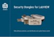 Security Dongles for LabVIEW - WireFlow · PDF file specifically developed for LabVIEW. The software drivers for the WireFlow Security Dongles are developed entirely in LabVIEW, making