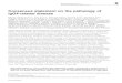 Consensus statement on the pathology of IgG4 …...Consensus statement on the pathology of IgG4-related disease Vikram Deshpande1,31, Yoh Zen2,31, John KC Chan3, Eunhee E Yi4, Yasuharu