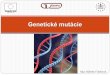 Genetické mutáciefiles.gvarza-bioseptima.webnode.sk/200000059... · Rozdelenie mutácií 1) Podľa spôsobu vzniku a) spontánne b) indukované 2) Podľa typu zasiahnutej bunky