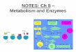 NOTES: Ch 8 Metabolism and Enzymes - PPT_Ch 8...3) Cofactors: small non- protein molecules required for proper enzyme function-may bind to active site or substrate-some are inorganic