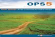 FINAL REPORT: At the Crossroads for Higher Impact · OPS5 FINAL REPORT: AT THE CROSSROADS FOR HIGHER IMPACT viii model. Furthermore, GEF-supported efforts are now paying off and having